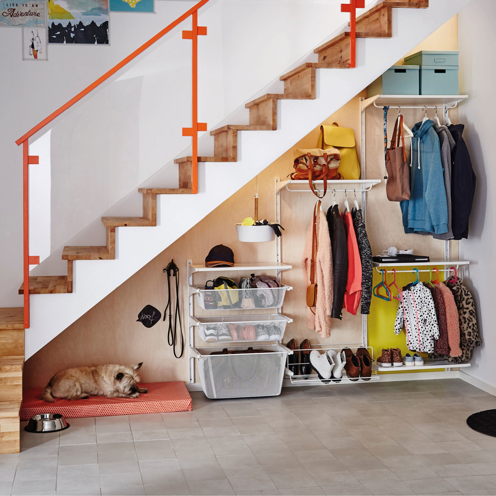Hall med förvaringslådor, hyllor, sko- och klädhängare under en trappa. Liten hund vilar på hundsäng i ett hörn.