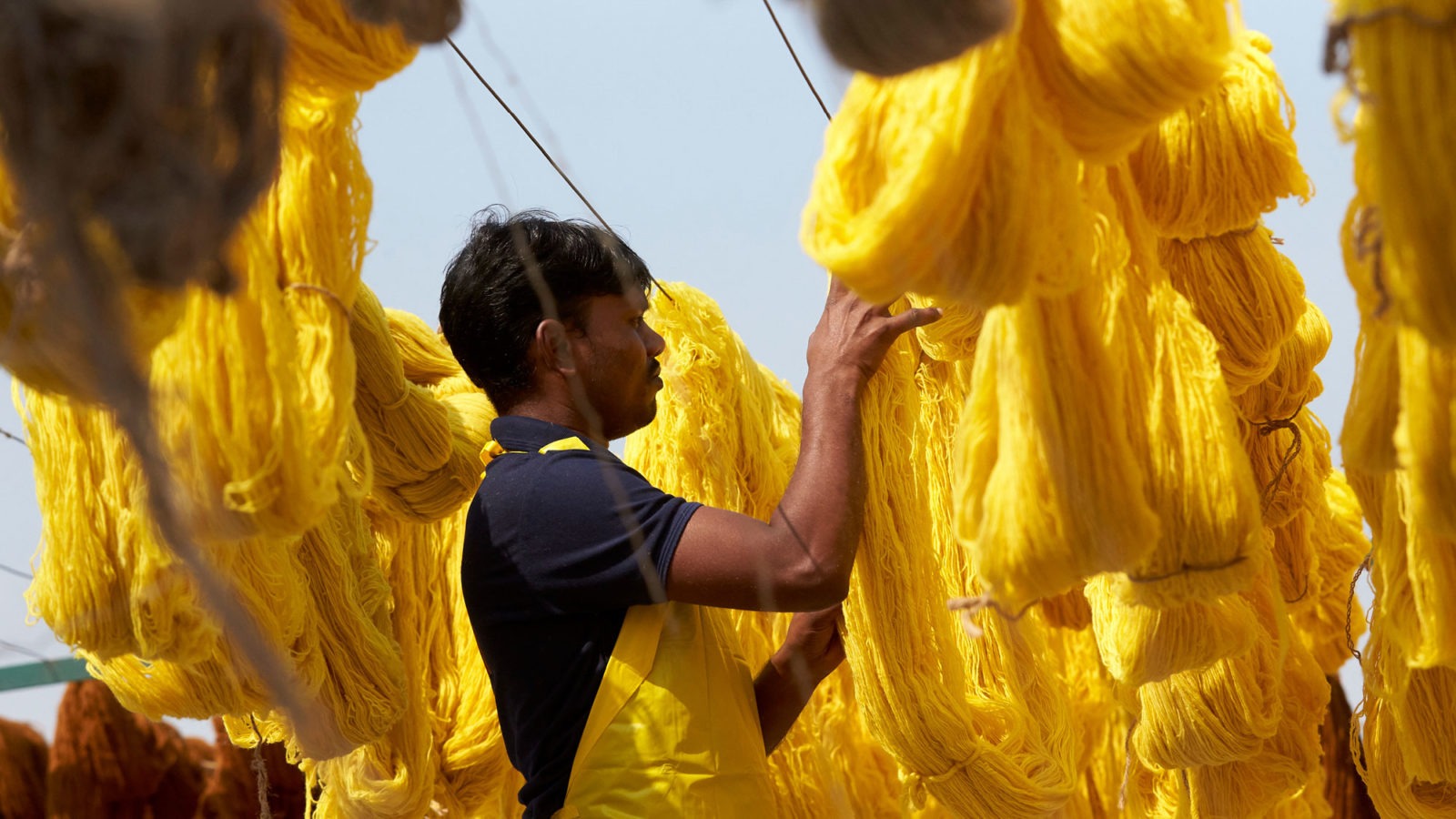 Man arranging big balls of newly yellow dyed cotton fibres on clothing lines, under a blue sky.