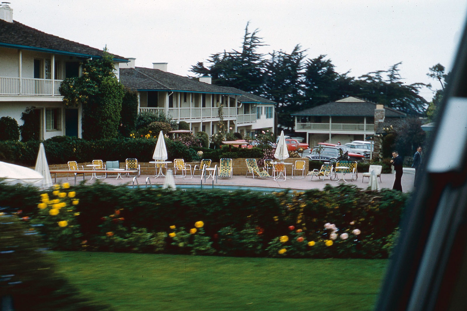 A motel with a pool behind leafy bushes and yellow flowers, photographed through a car window.
