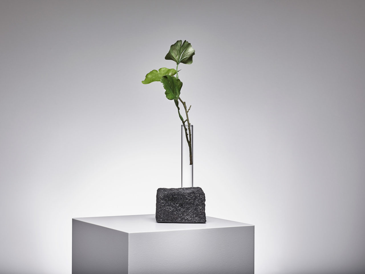 Eine grüne Pflanze in einer Glasvase, die auf einem schwarzen Steinblock befestigt ist.