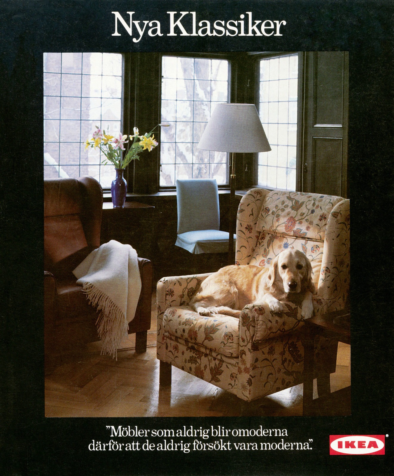 Brochure cover with text New Classics. Photo of living room where a retriever relaxes in an armchair.