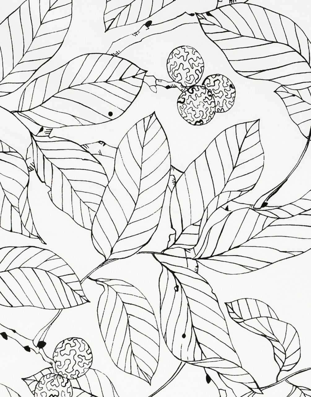 Black and white pattern depicting a stylised fruit tree.