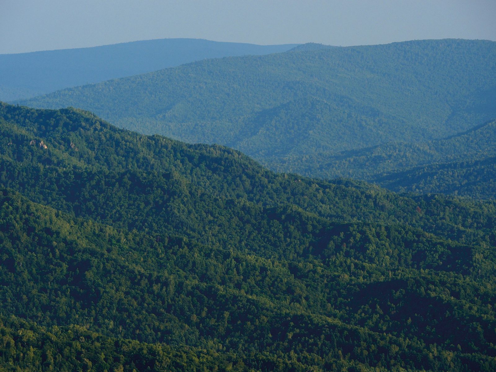 Extensive green forest area in hilly terrain.
