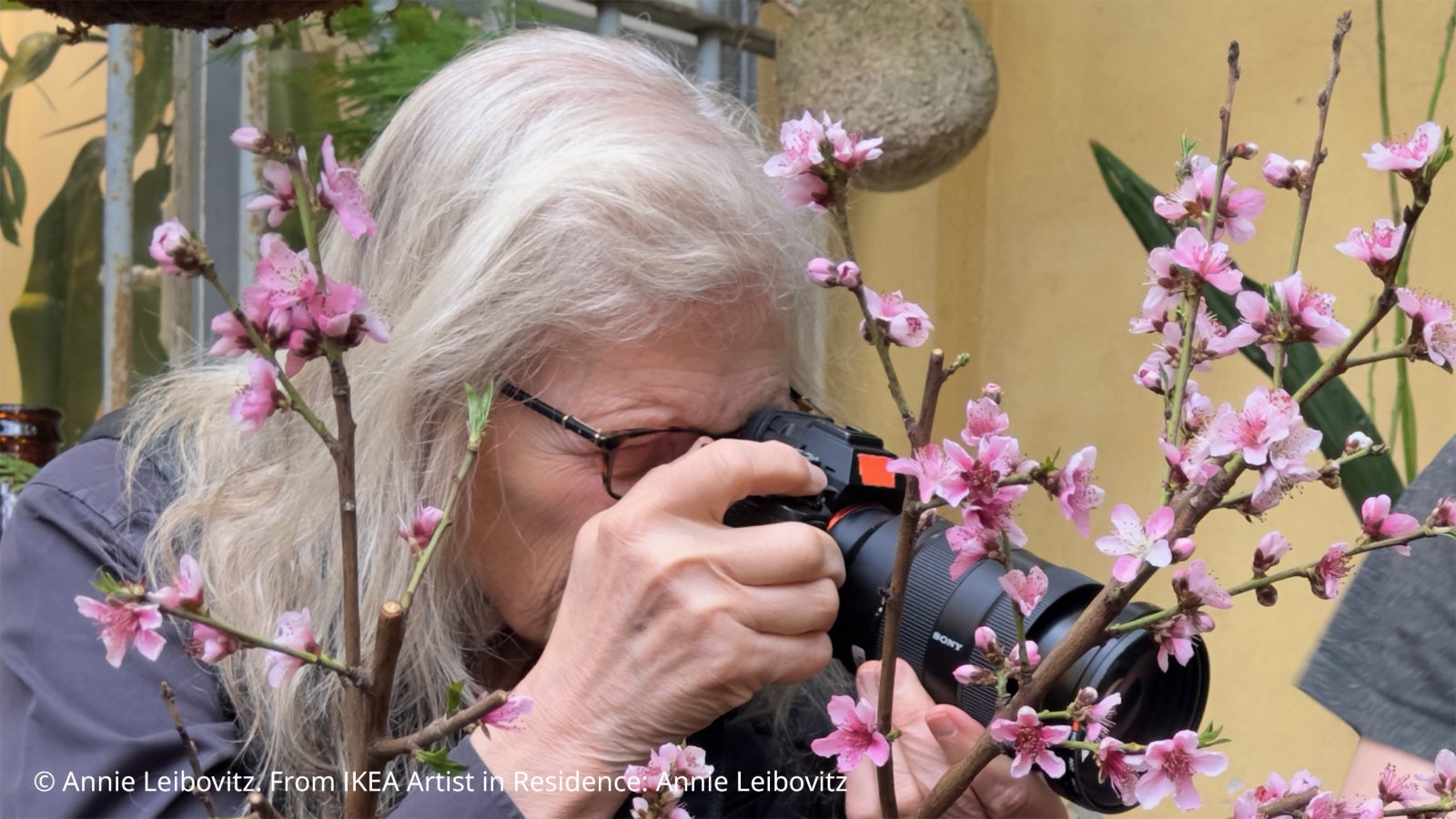 Photographer Annie Leibovitz in action as she works and takes photos.